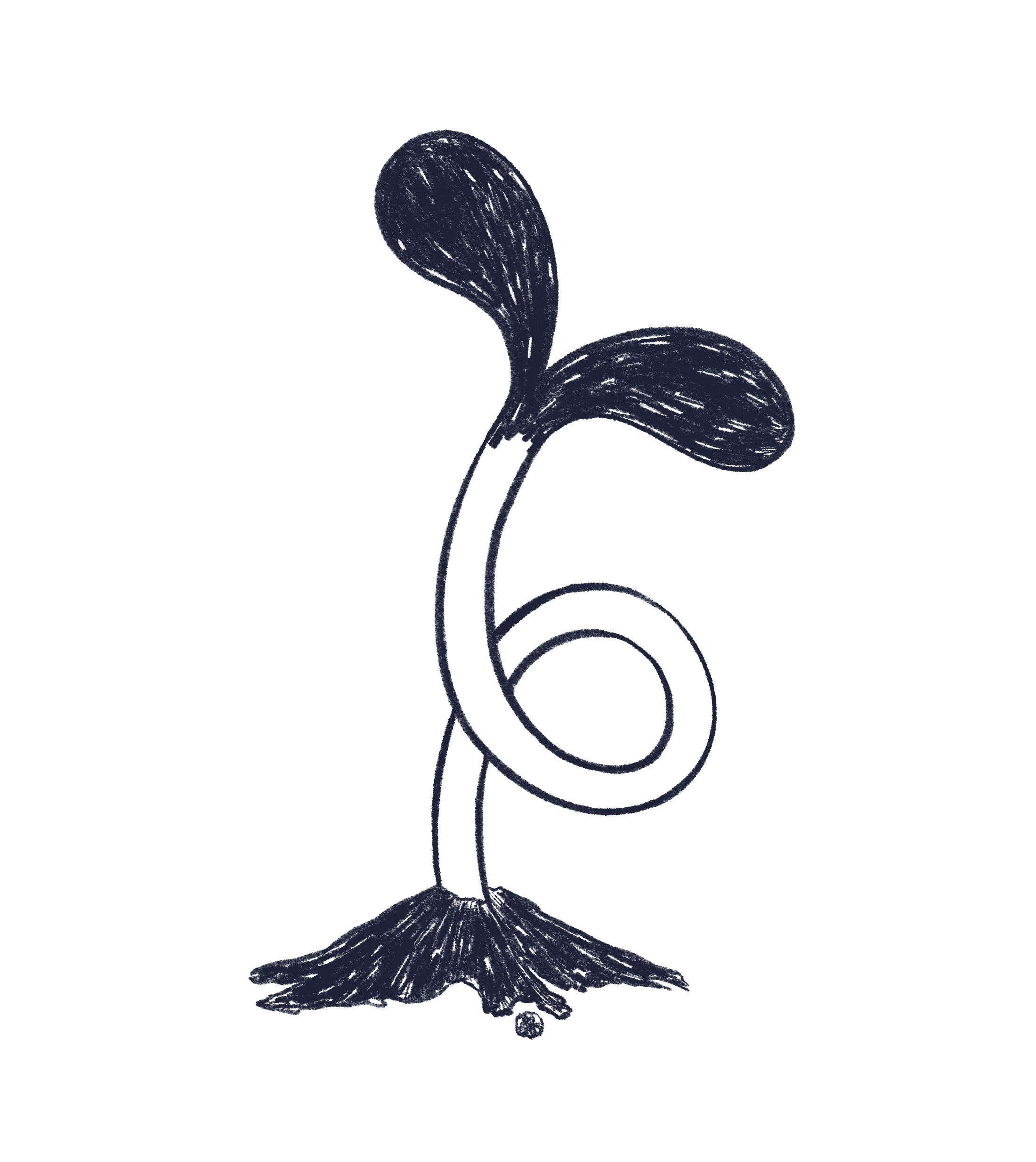 Blyantstegnet illustration af en spire, der vokser op af jorden.